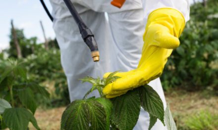 Δημόσιος διάλογος με θέμα: «Ο εφιάλτης των φυτοφαρμάκων στο πιάτο μας»