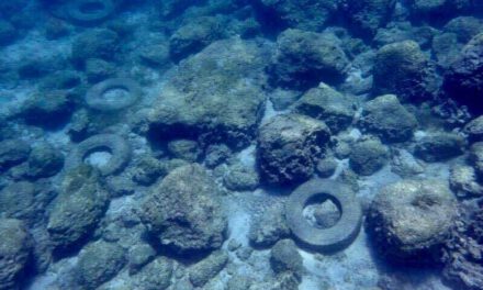 Συνεχίζεται η θαλάσσια ρύπανση στην θάλασσα «Μάλαμα» στο Παραλίμνι