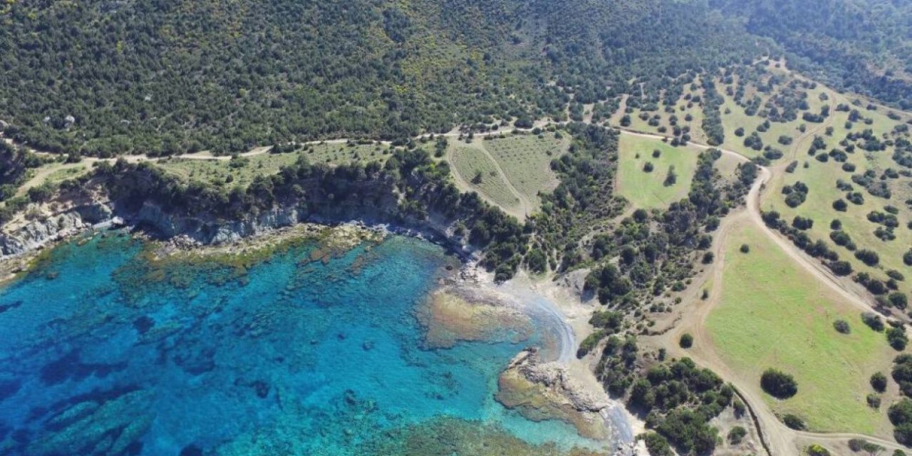 Ακάμας: Γεμάτη λάθη και κενά η απόφαση της Κυβέρνησης.