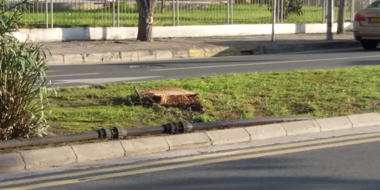 Συνεχίζεται η λεηλασία του πρασίνου στην Πάφο