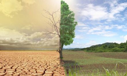 17 Ιουνίου: Παγκόσμια Ημέρα κατά της Ερημοποίησης και της Ξηρασίας. Καμπανάκι κινδύνου για την Κύπρο