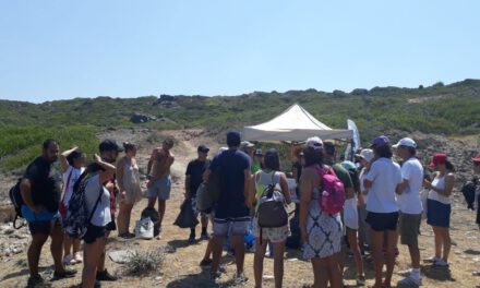 Με μεγάλη συμμετοχή εθελοντών ο καθαρισμός της παραλίας Λάρας της Νεολαίας Οικολόγων και Οικολογικής Κίνησης Κύπρου