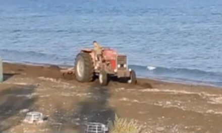 Απαιτούμε διερεύνηση του περιστατικού με το τρακτέρ σε παραλία ωοτοκίας χελωνών στο Κίτι