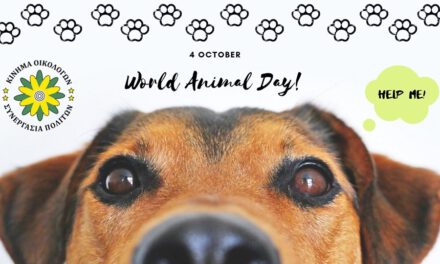 Η Παγκόσμια Ημέρα Ζώων (4 Οκτωβρίου) μας θέτει ενώπιον των ευθυνών μας