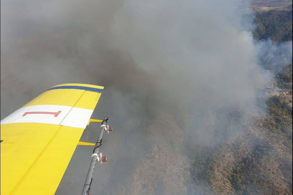 Περδίκης καλεί Αδάμου για Ακάμα
