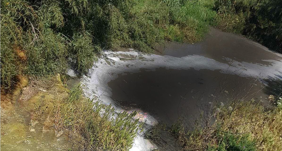 Ρύπανση του ποταμού Οβγκού από χοιρολύματα – Οι αρμόδιοι πρέπει επιτέλους να σταματήσουν