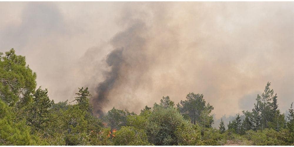 Τεράστια η περιβαλλοντική καταστροφή από τη φωτιά στον Κορμακίτη