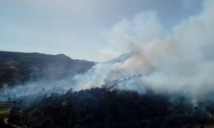 Η πυρκαγιά που ξέσπασε στην Ακρούντα μας υπενθυμίζει την άμεση ανάγκη για ψήφιση της πρότασης νόμου για τα προστατευτικά αντιπυρικά μέτρα σε ιδιωτικές περιουσίες