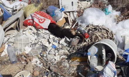 Ένα «βουνό» από σκουπίδια έγινε η περιοχή δίπλα από το Γενικό νοσοκομείο Λεμεσού