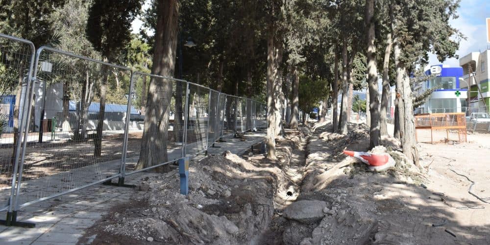 Νέα σφαγή δένδρων στο Δασούδι Πάφου