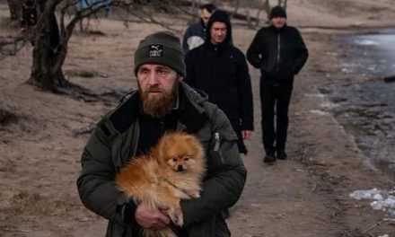 Είσοδος Ουκρανών Προσφύγων με ζώα συντροφιάς