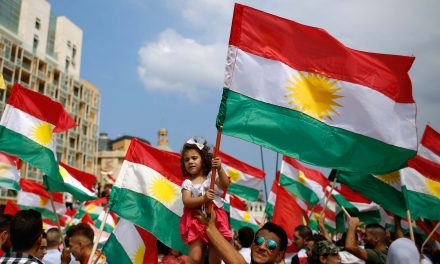 Παγκόσμια Μέρα Δράσης ενάντια στα σχέδια της Τουρκίας για επίθεση κατά των Κούρδων. Κατάθεση ψηφίσματος Κινήματος Οικολόγων – Συνεργασία στη Βουλή