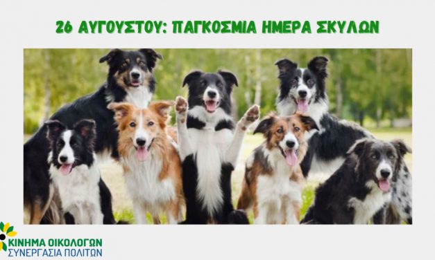 26 Αυγούστου: Παγκόσμια ημέρα σκύλων – σεβόμαστε και προστατεύουμε τα δικαιώματα τους