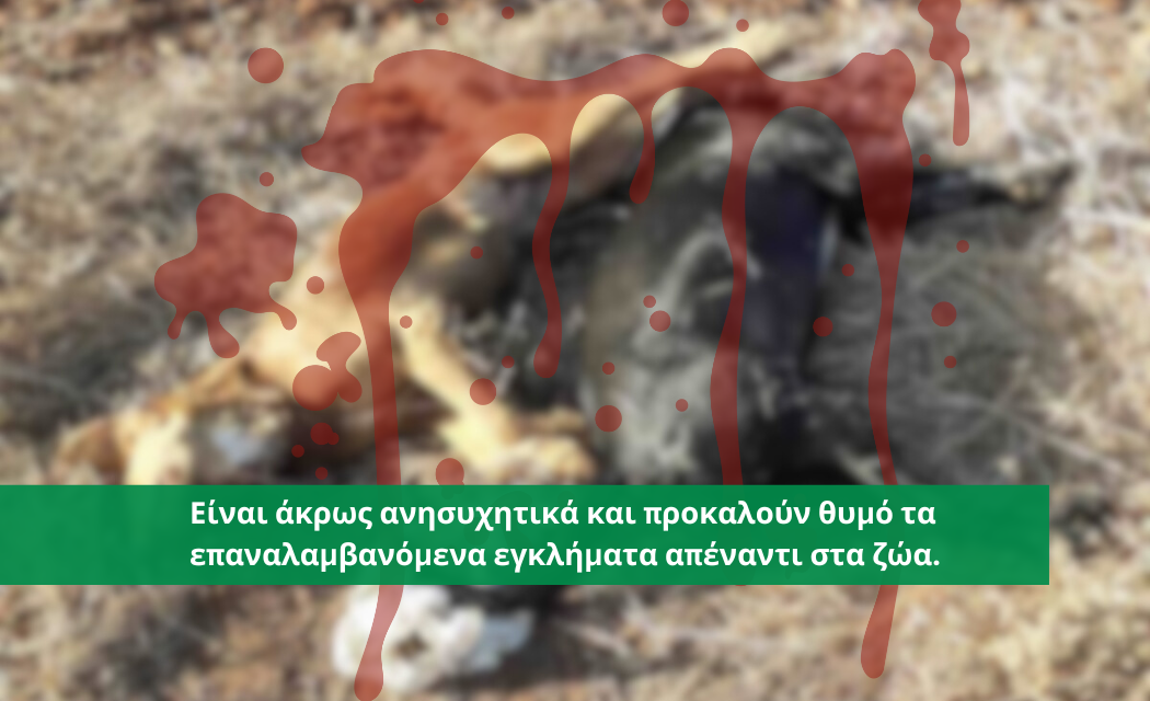 Φρικιαστικό έγκλημα εναντίον δυο ανυπεράσπιστων σκυλιών στον Αστρομερίτη στην Επαρχία Λευκωσίας