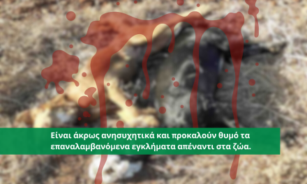 Φρικιαστικό έγκλημα εναντίον δυο ανυπεράσπιστων σκυλιών στον Αστρομερίτη στην Επαρχία Λευκωσίας