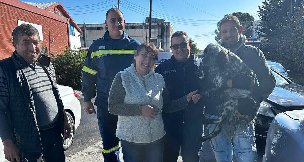 Διάσωση σκυλιού στην περιοχή Αγίου Δομετίου