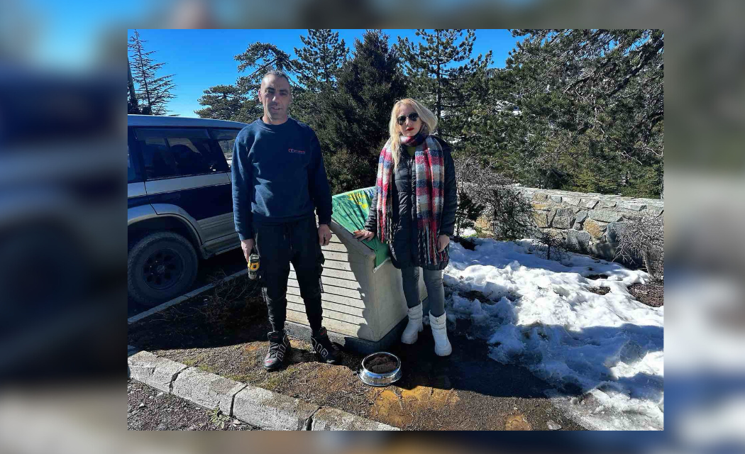 Συγκινητική η ανταπόκριση για τα σπιτάκια στο Τρόοδος – Στα ζεστά κοιμήθηκαν τα αδέσποτα χθες βράδυ