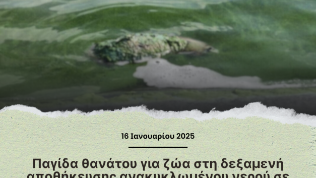Παγίδα θανάτου για ζώα στη δεξαμενή αποθήκευσης ανακυκλωμένου νερού σε περιοχή της επαρχίας Λευκωσίας