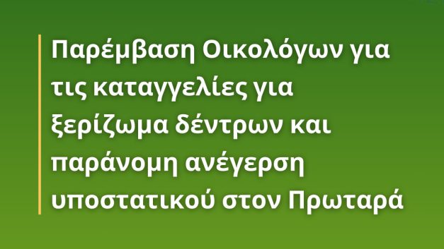 Παρέμβαση Οικολόγων για τις καταγγελίες για ξερίζωμα δέντρων και παράνομη ανέγερση υποστατικού στον Πρωταρά