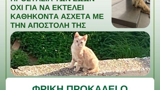 Φρίκη προκαλεί ο πυροβολισμός γάτου στην επαρχία Λεμεσού