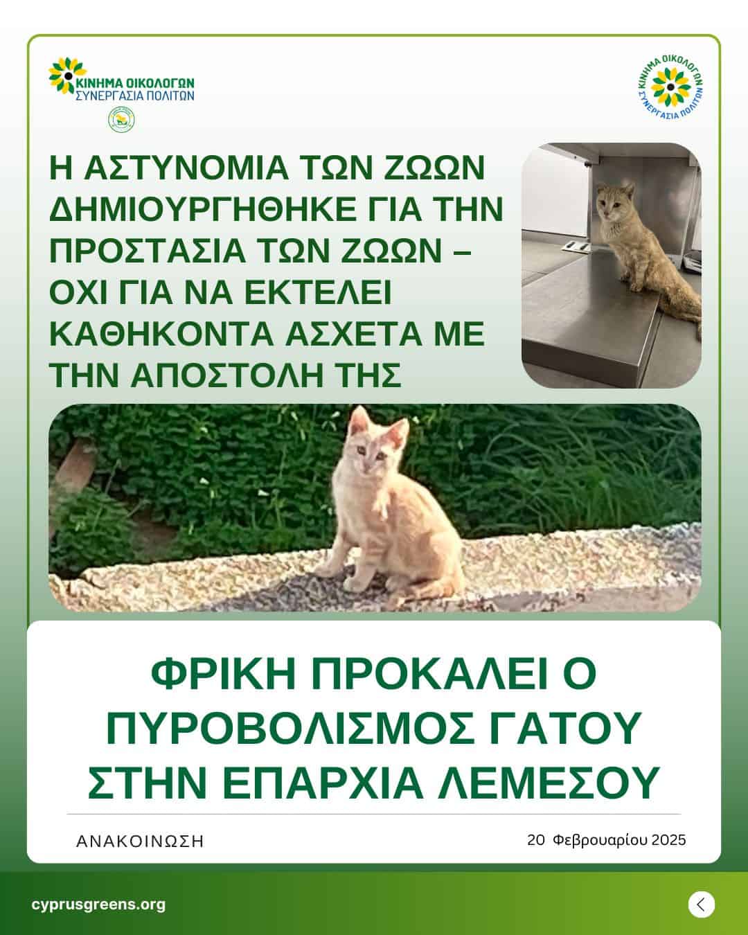 Φρίκη προκαλεί ο πυροβολισμός γάτου στην επαρχία Λεμεσού