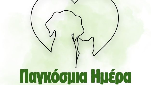 Παγκόσμια Ημέρα Αδέσποτων Ζώων: Κανένα ζώο δεν είναι αδέσποτο στην ευθύνη μας