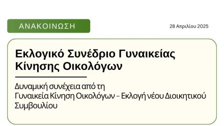Δυναμική συνέχεια από τη Γυναικεία Κίνηση Οικολόγων – Εκλογή νέου Διοικητικού Συμβουλίου