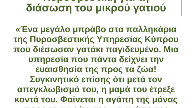 Η αγάπη δεν έχει είδος – Μπράβο στην Πυροσβεστική για τη διάσωση του μικρού γατιού