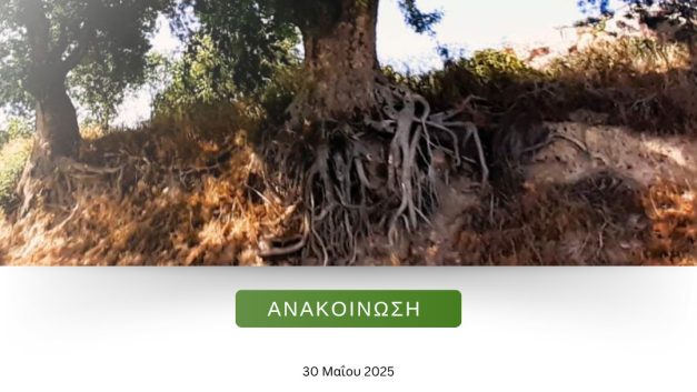 ΚΙΝΔΥΝΕΥΟΥΝ ΟΙ ΤΡΕΜΙΘΟΙ ΣΤΗΝ UNIVERSAL ΠΑΦΟΣ