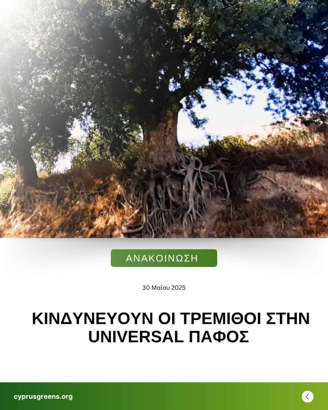 ΚΙΝΔΥΝΕΥΟΥΝ ΟΙ ΤΡΕΜΙΘΟΙ ΣΤΗΝ UNIVERSAL ΠΑΦΟΣ