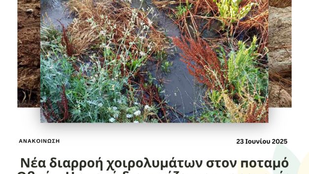 Νέα διαρροή χοιρολυμάτων στον ποταμό Οβκό – Η ανοχή διαιωνίζει την παρανομία