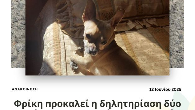Φρίκη προκαλεί η δηλητηρίαση δύο σκύλων στην κοινότητα Αλαμινό