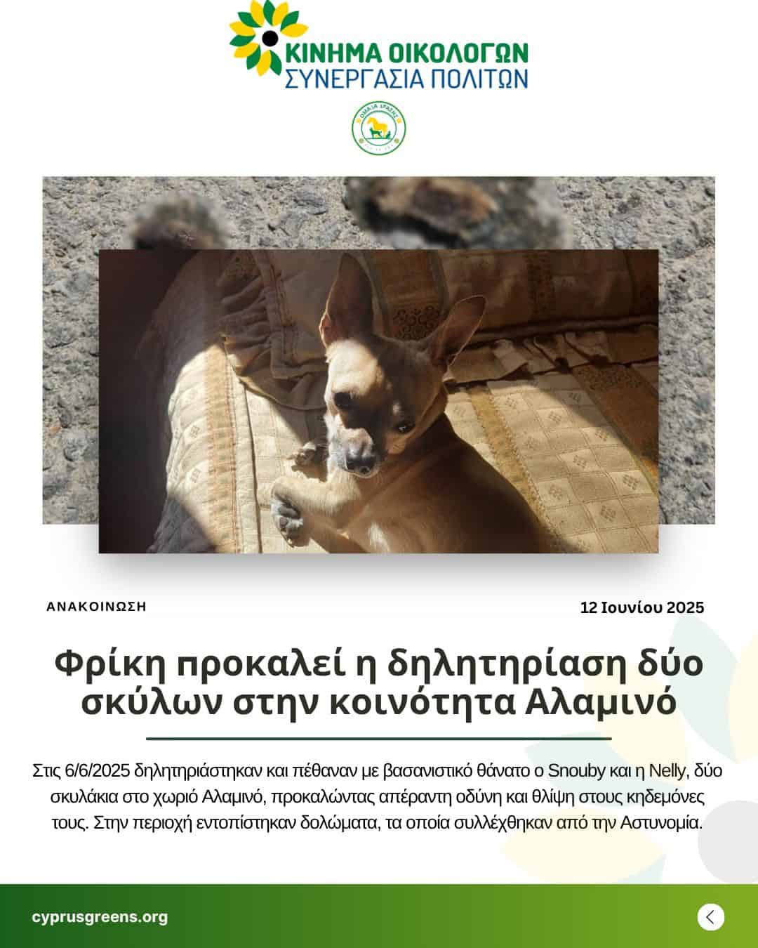 Φρίκη προκαλεί η δηλητηρίαση δύο σκύλων στην κοινότητα Αλαμινό
