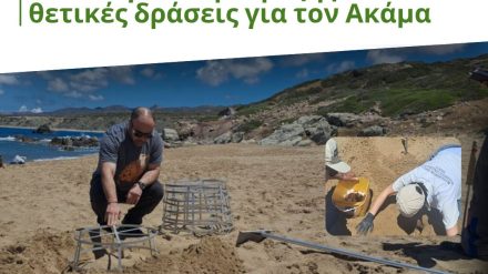 Οικολογία στην πράξη με θετικές δράσεις για τον Ακάμα