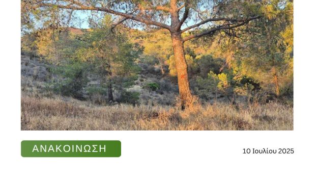 Αναστολή εκτέλεσης της απόφασης κοπής μεγάλου αριθμού πεύκων περιμετρικά της στρατιωτικής εγκατάστασης  στο Σταυροβούνι