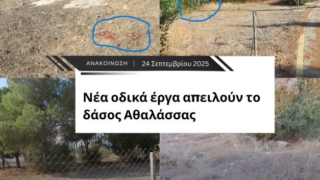 Νέα οδικά έργα απειλούν το δάσος Αθαλάσσας