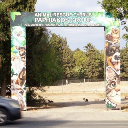 Άμεση ανάγκη εξεύρεσης λύσης για τα (+/-) 2.000 ζώα του Καταφυγίου Ζώων Πάφου