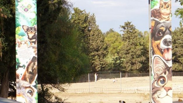 Άμεση ανάγκη εξεύρεσης λύσης για τα (+/-) 2.000 ζώα του Καταφυγίου Ζώων Πάφου