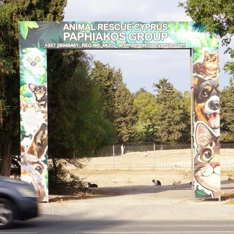 Άμεση ανάγκη εξεύρεσης λύσης για τα (+/-) 2.000 ζώα του Καταφυγίου Ζώων Πάφου