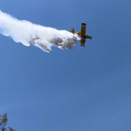 Το Κίνημα Οικολόγων – Συνεργασία Πολιτών  θα συνεχίσει να διεκδικεί διαφάνεια, λογοδοσία και καθαρούς θεσμούς — χωρίς σκιές, χωρίς εξυπηρετήσεις, χωρίς εκπτώσεις
