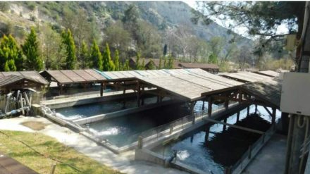 Το πόρισμα για την Τριμίκλινη επιβεβαιώνει την ανάγκη θεσμικού ελέγχου και διαφάνειας