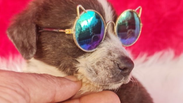 Jasmine: Από τον φράχτη του Ξυλιάτου… στην αγκαλιά της ζωής