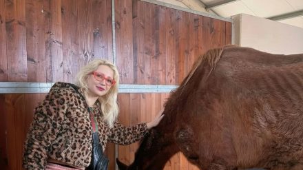 Επιτόπια παρέμβαση της Ομάδας Δράσης για τα Ζώα των Οικολόγων για άλογο που εντοπίστηκε σε κακή κατάσταση