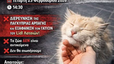 Οι Οικολόγοι διαμαρτύρονται γιατί ο αρχηγός της Αστυνομίας δεν ανταποκρίνεται στις επιστολές που αφορούν τα ζώα