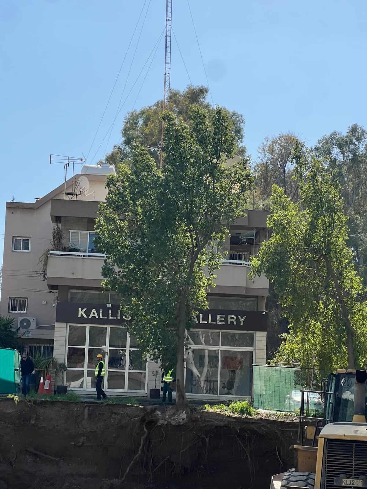 Η καταστροφή συνεχίζεται στο δάσος Πεδιαίου