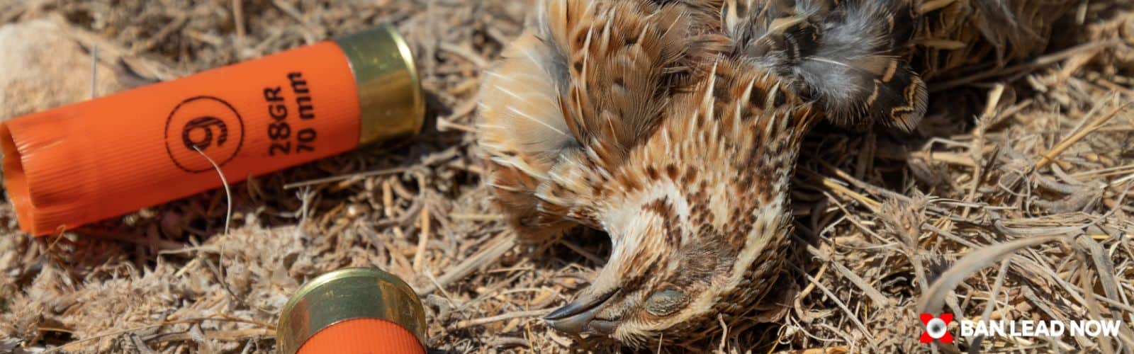 Πλήρη απαγόρευση του μόλυβδου στα κυνηγετικά φυσίγγια στην ΕΕ