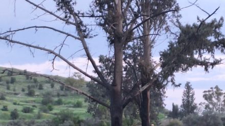 Για ακόμη μια χρονιά χωρίς ολοκληρωμένη νομική ρύθμιση οι λαμπρατζιές – Η παράδοση δεν μπορεί να λειτουργεί χωρίς κανόνες και ασφάλεια