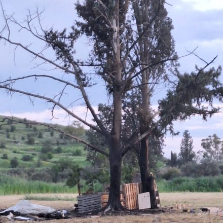 Για ακόμη μια χρονιά χωρίς ολοκληρωμένη νομική ρύθμιση οι λαμπρατζιές – Η παράδοση δεν μπορεί να λειτουργεί χωρίς κανόνες και ασφάλεια