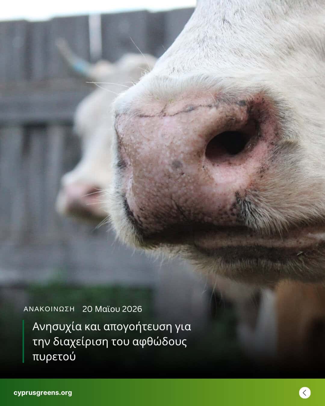 Ανησυχία και απογοήτευση για την διαχείριση του αφθώδους πυρετού