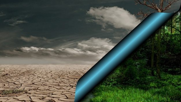 5η Ιουνίου – Παγκόσμια Ημέρα Περιβάλλοντος 2026 και στην Κύπρο πάμε με την όπισθεν.